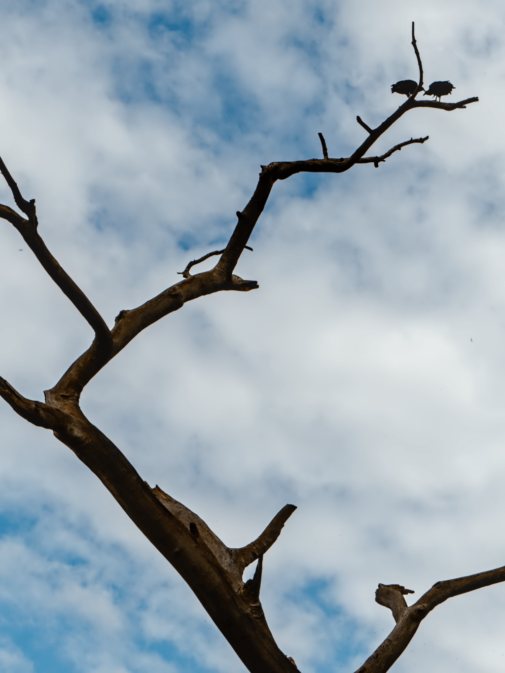 are you fine up&nbsp;there